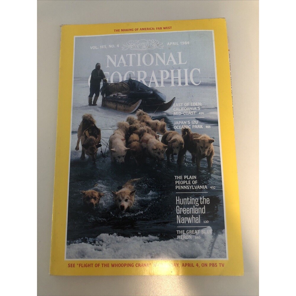 Vintage April 1984 National Geographic Journal Magazine Paperback Book